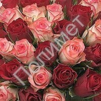 ПОЗДРАВЛЯЕМ С ЮБИЛЕЕМ ЛАБОРАНТА - Полимет- cовременный производственно- технологический комплекс  высокоточного литья